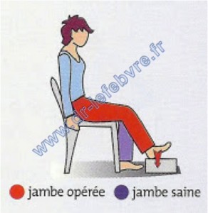 exercice jambe 5