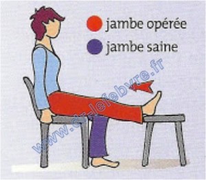 exercice jambe 6